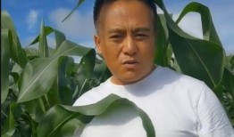 演员黑子爆料视频,揭秘娱乐圈幕后真相